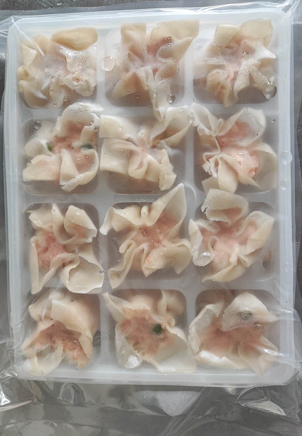 SHAOMAI MAZZ E VERD.CONG. 240GX40PZ 一级烧卖